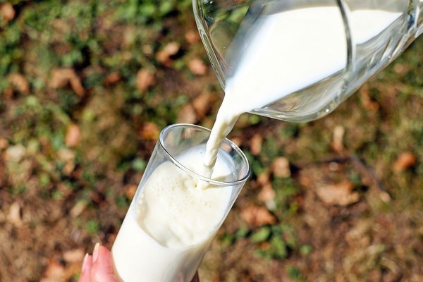 Poznaj moc roślinnych napojów – zdrowsza alternatywa dla krowiego mleka